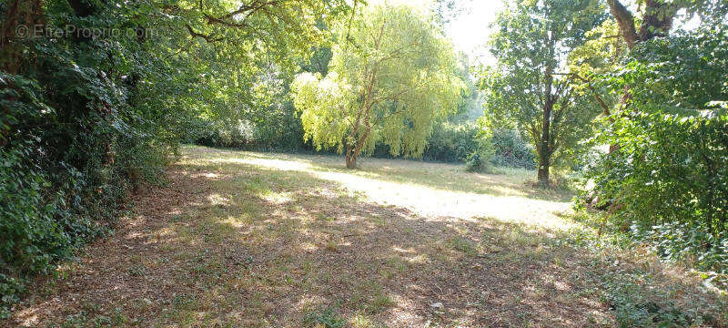 Maison à CASTELSARRASIN