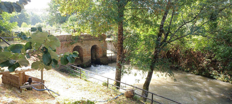 Maison à CASTELSARRASIN