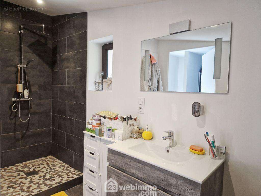 ...avec une salle de douche et un WC. - Maison à VENTHON