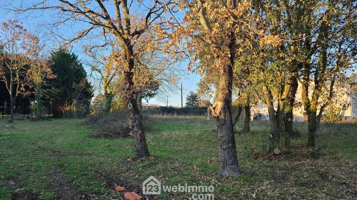 Terrain arboré - Terrain à TALMONT-SAINT-HILAIRE