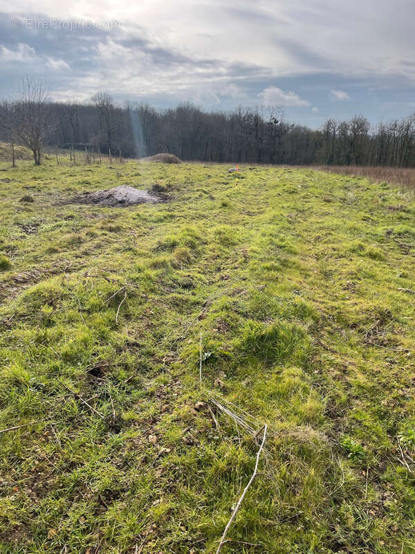 Terrain à REUGNY