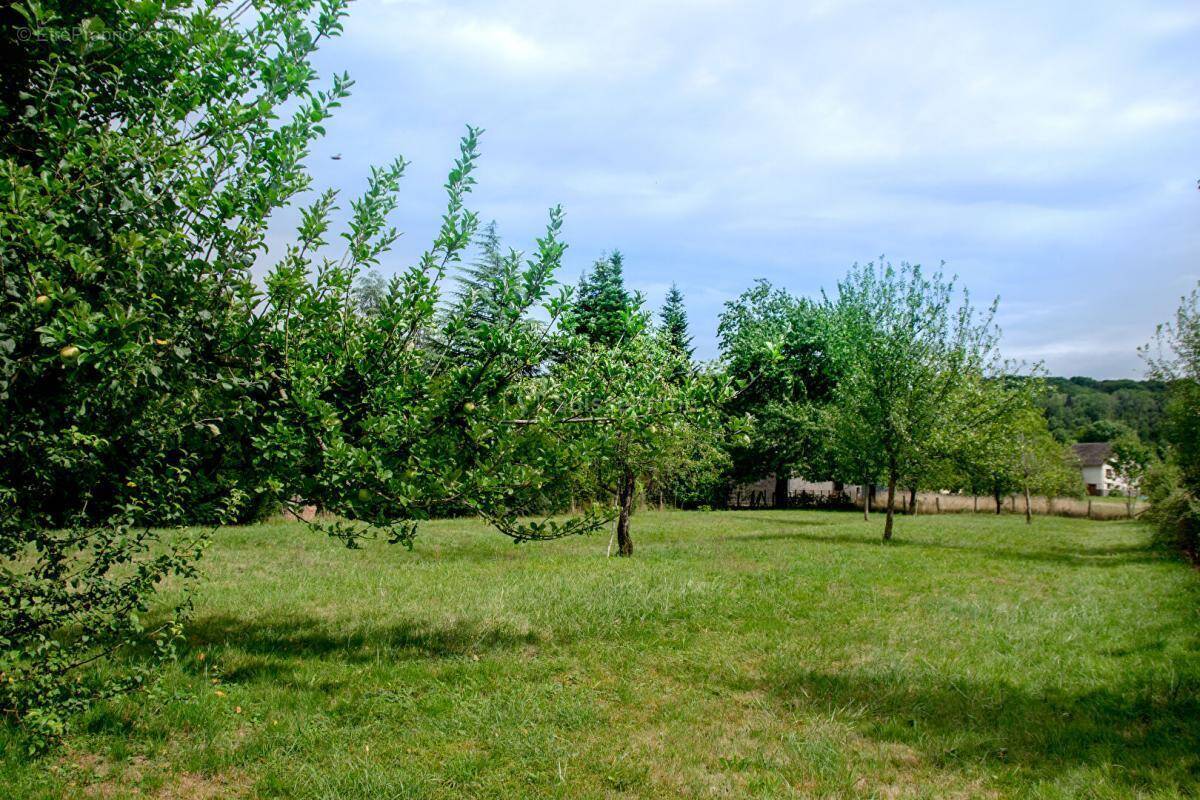 Terrain à ATHESANS-ETROITEFONTAINE