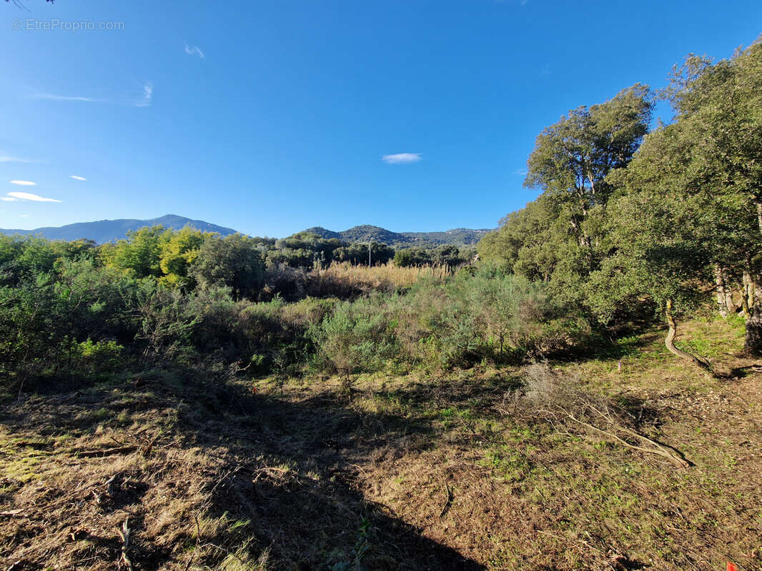 Appartement à AJACCIO
