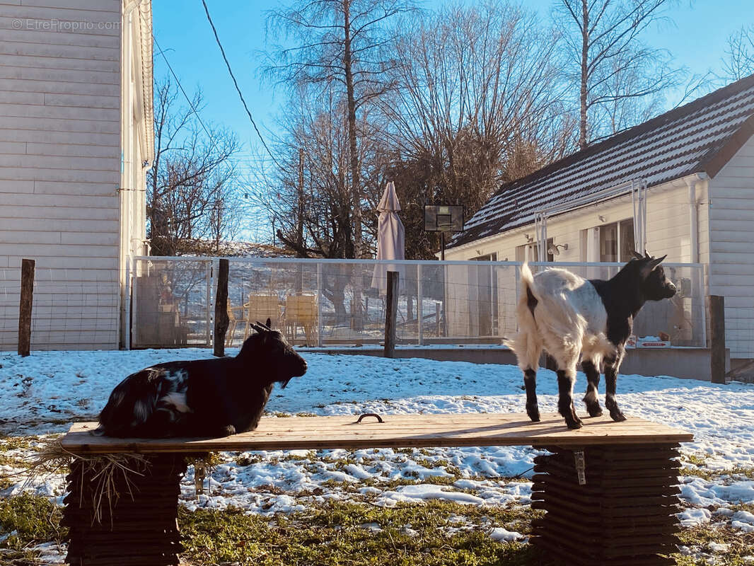 Maison à TERNUAY-MELAY-ET-SAINT-HILAIRE