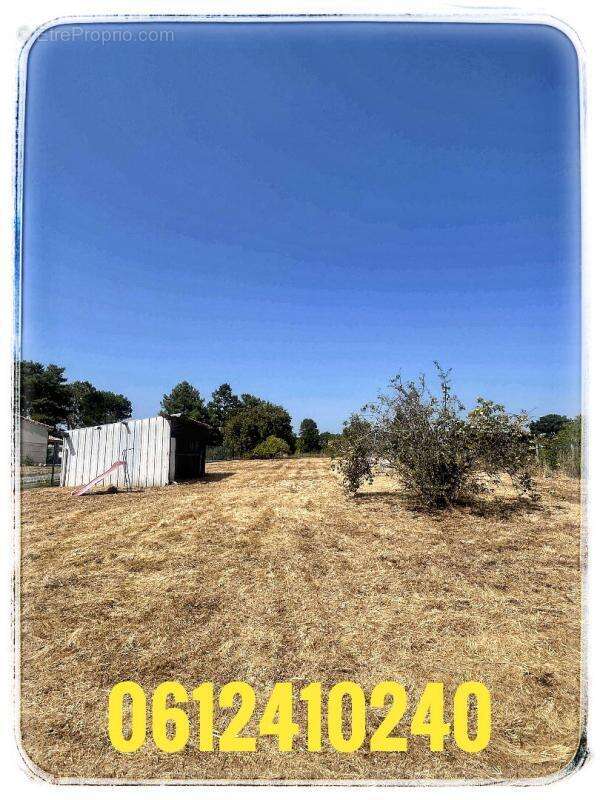 Maison à LAMOTHE-MONTRAVEL