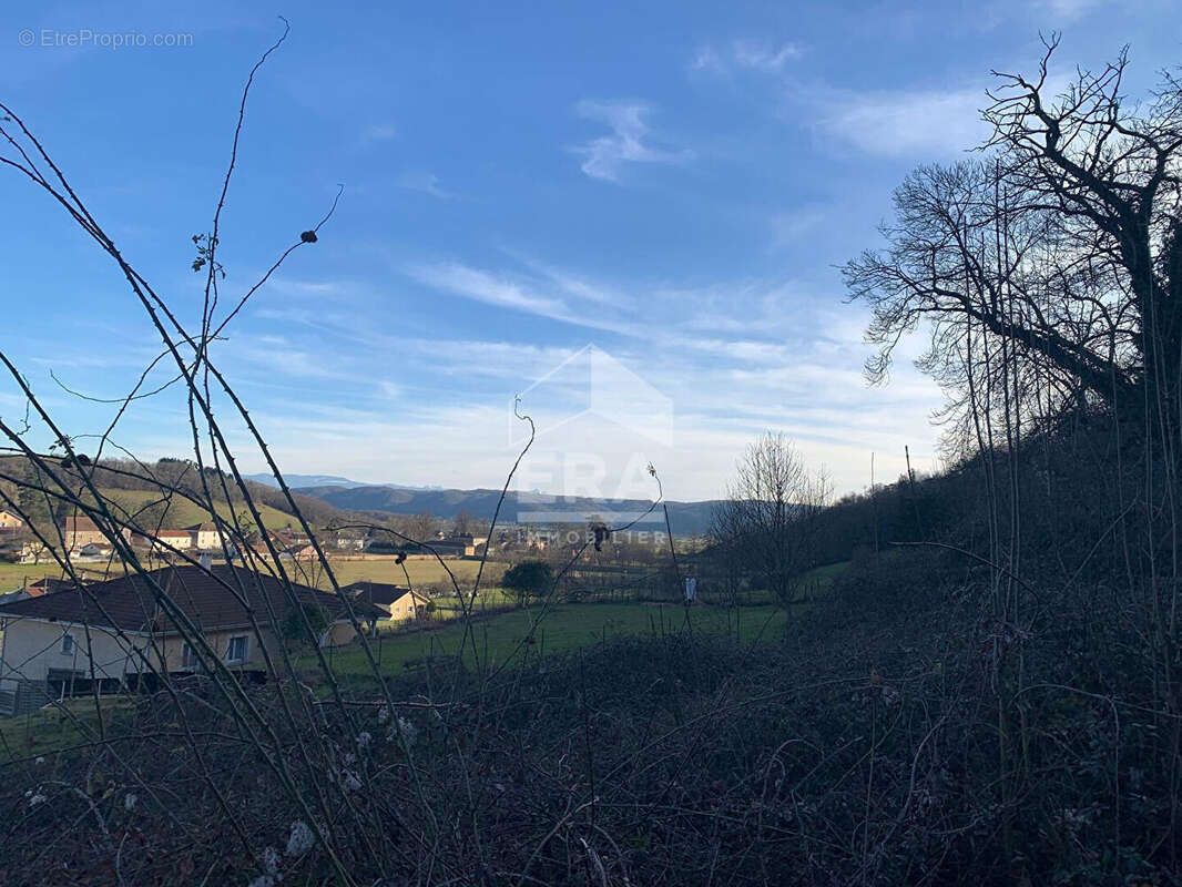 Terrain à CHAMPIER
