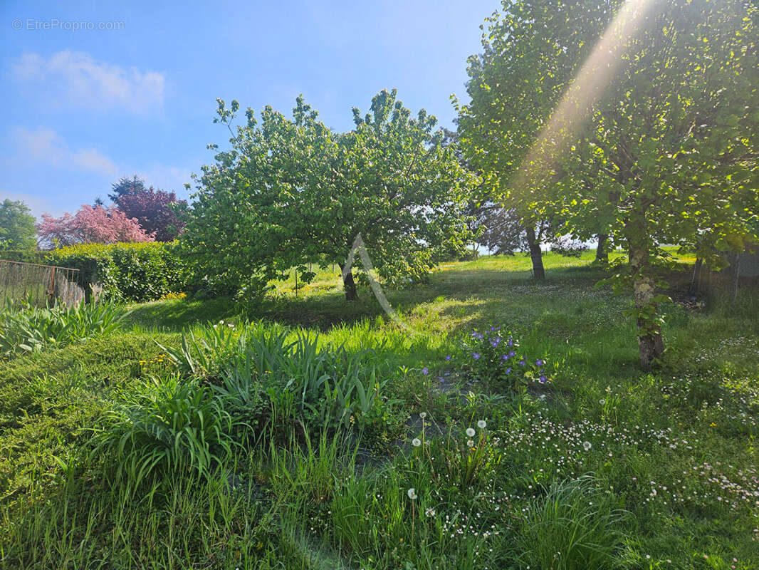 Maison à MONTRICHARD
