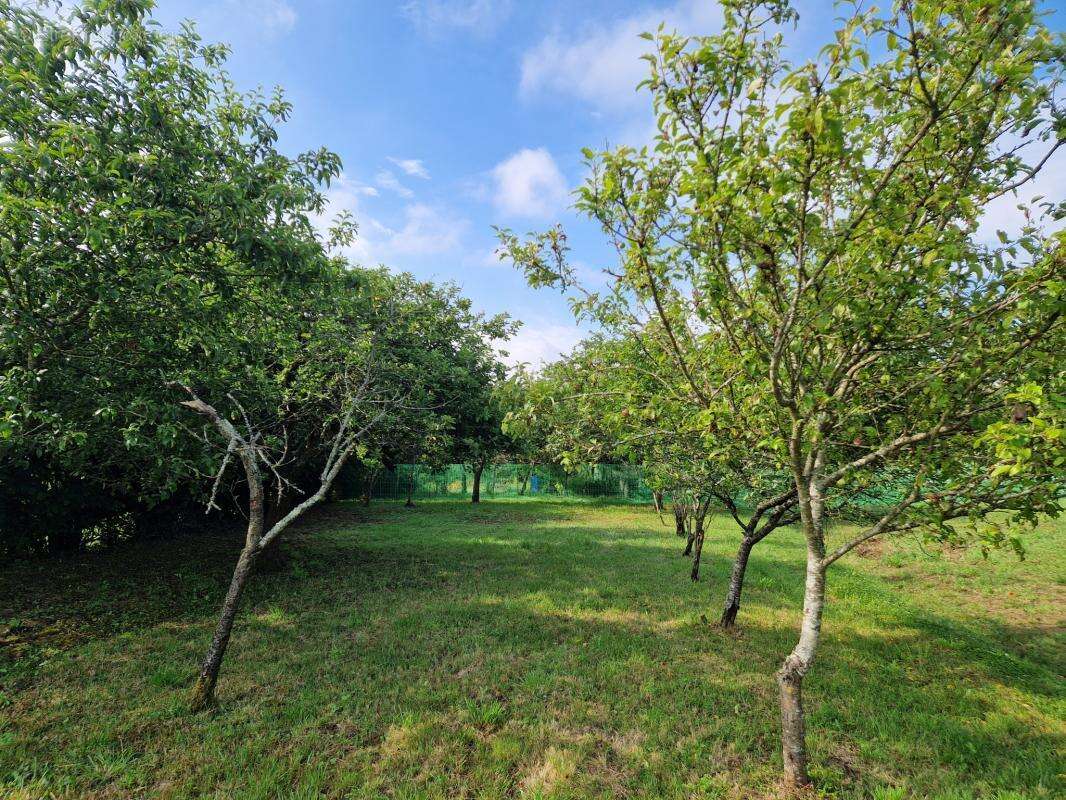 Terrain à CHAMPAGNE