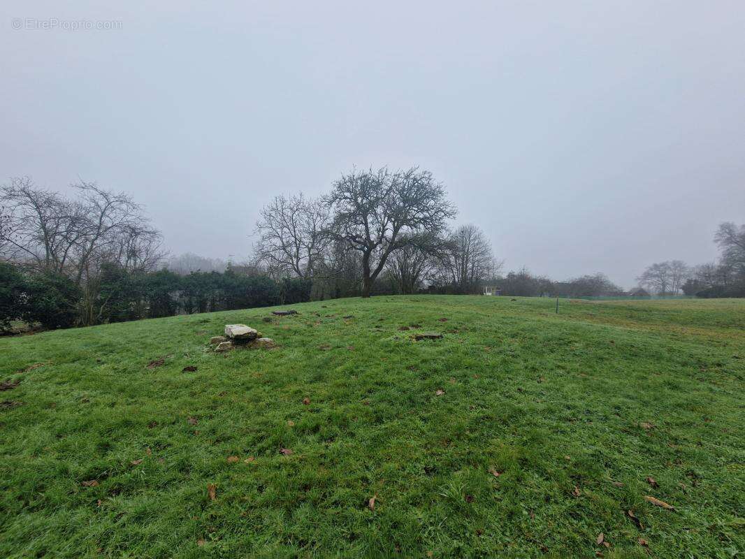 Terrain à CHAMPAGNE