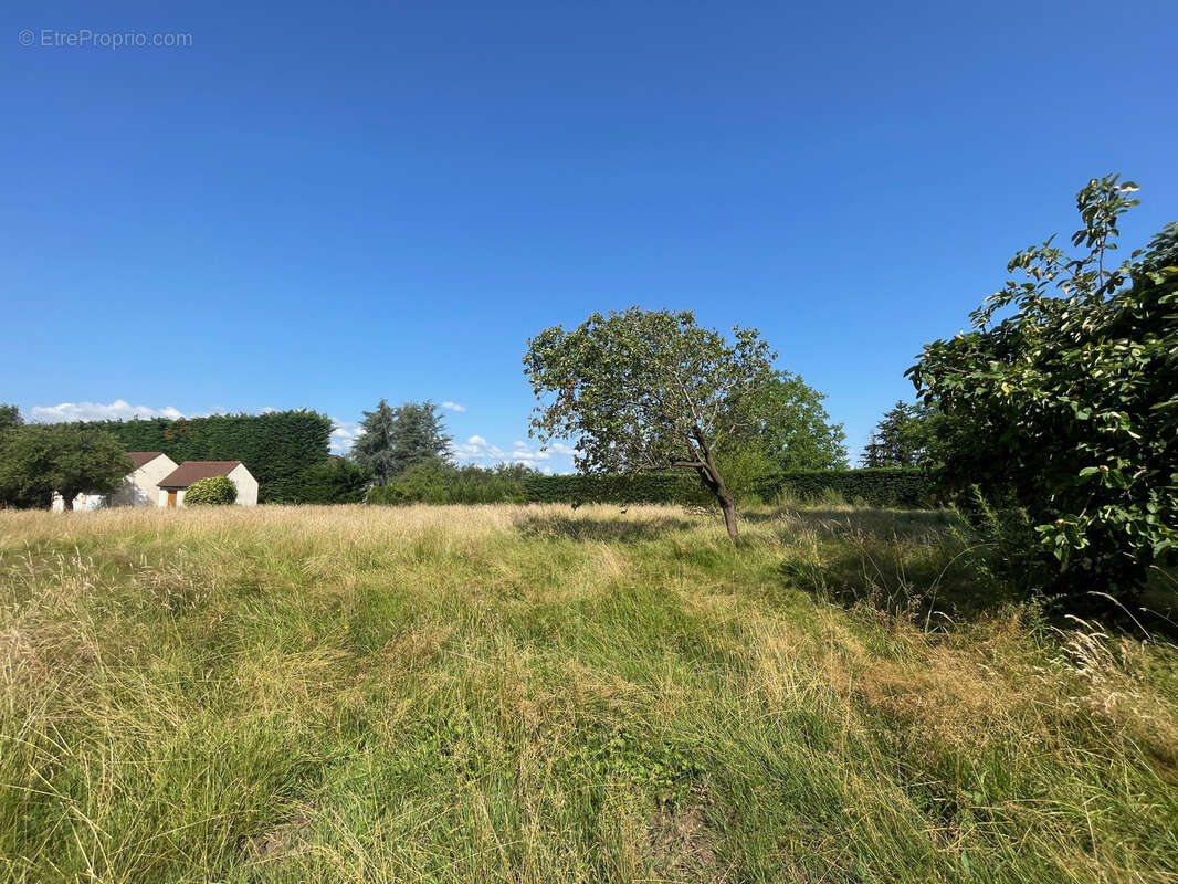 Terrain à RUFFEY-LES-BEAUNE
