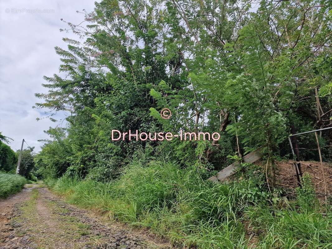 Terrain à LE VAUCLIN