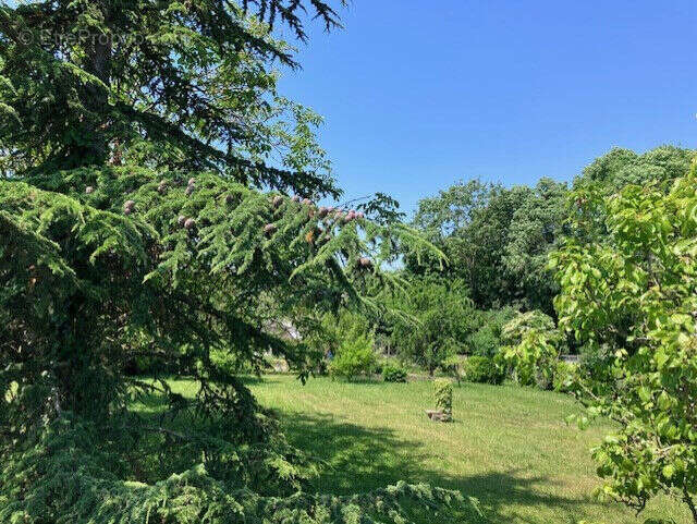 Terrain à CHOISY-EN-BRIE