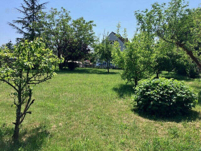 Terrain à CHOISY-EN-BRIE