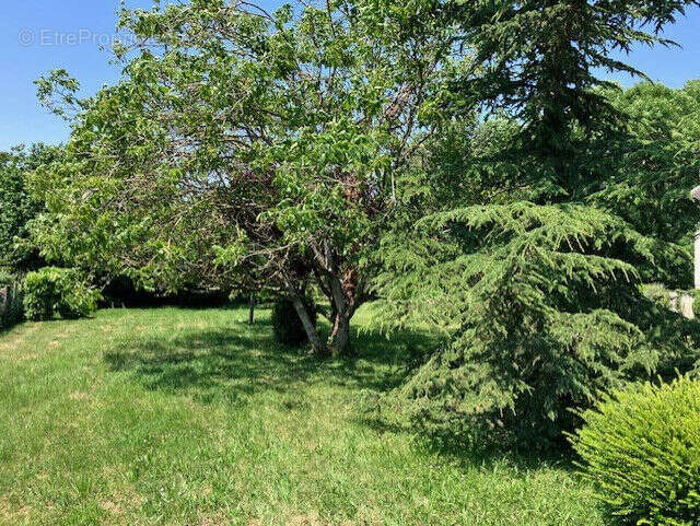 Terrain à CHOISY-EN-BRIE