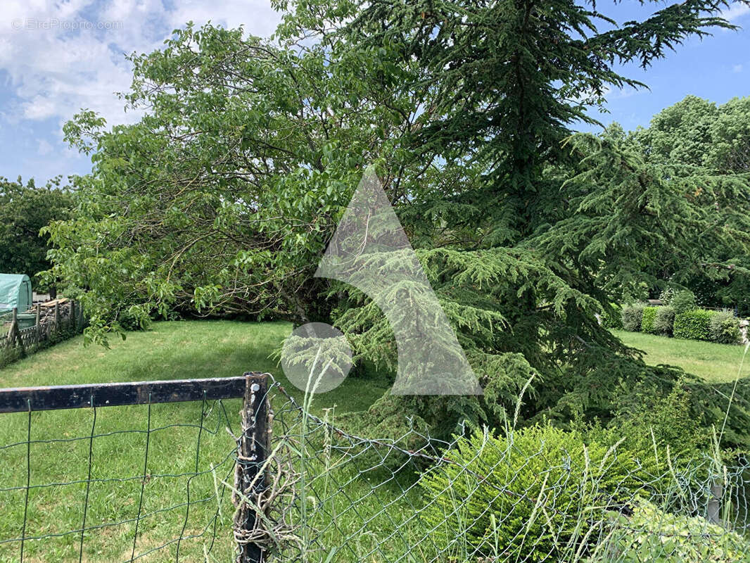 Terrain à CHOISY-EN-BRIE