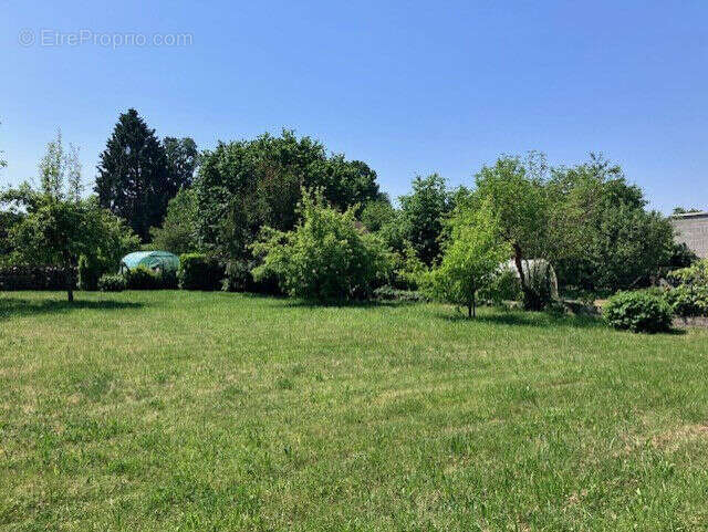 Terrain à CHOISY-EN-BRIE