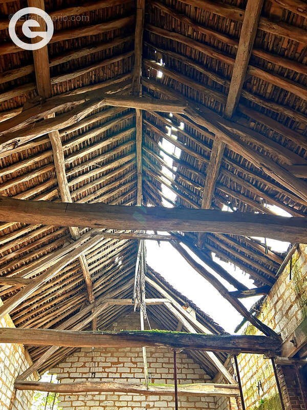 Terrain à MALAY-LE-PETIT