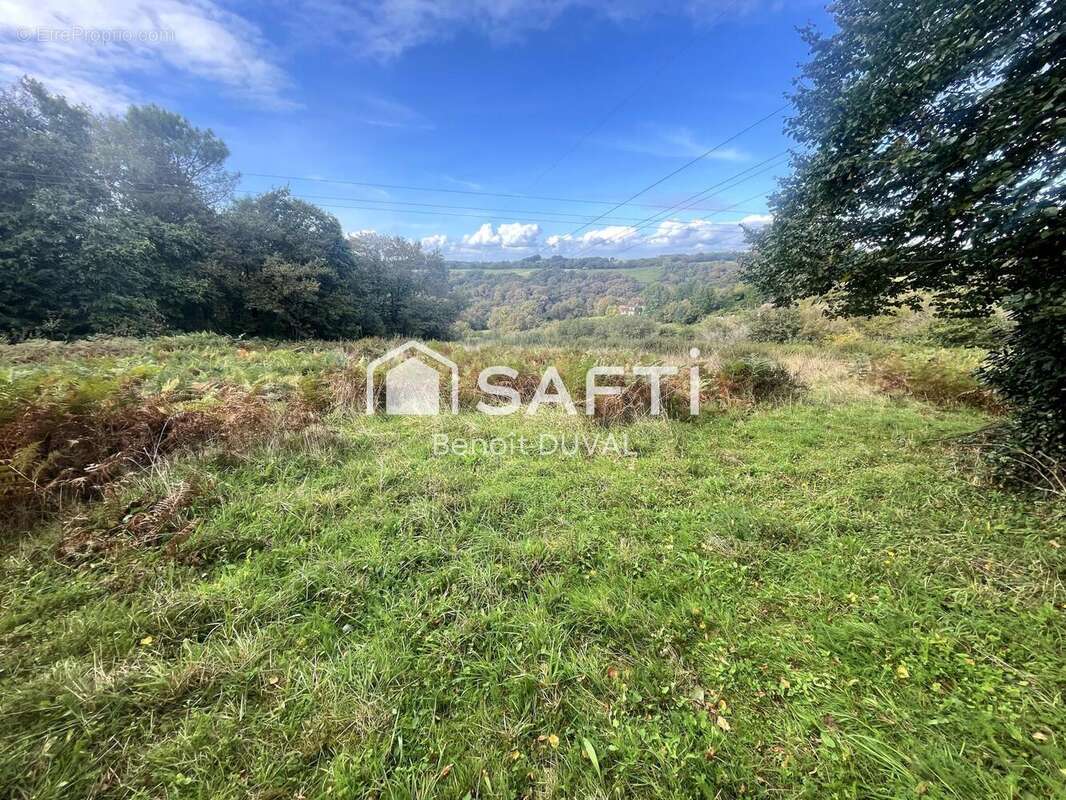 Photo 9 - Maison à ARTHEZ-DE-BEARN