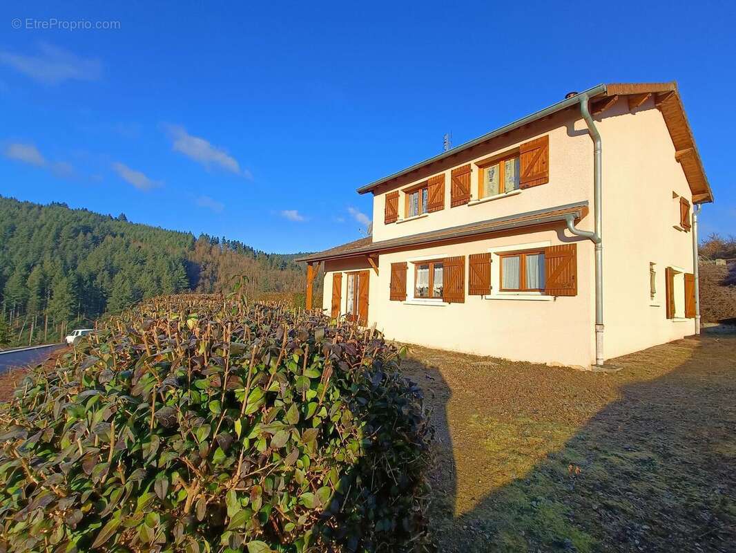 Photo 3 - Maison à CUBLIZE