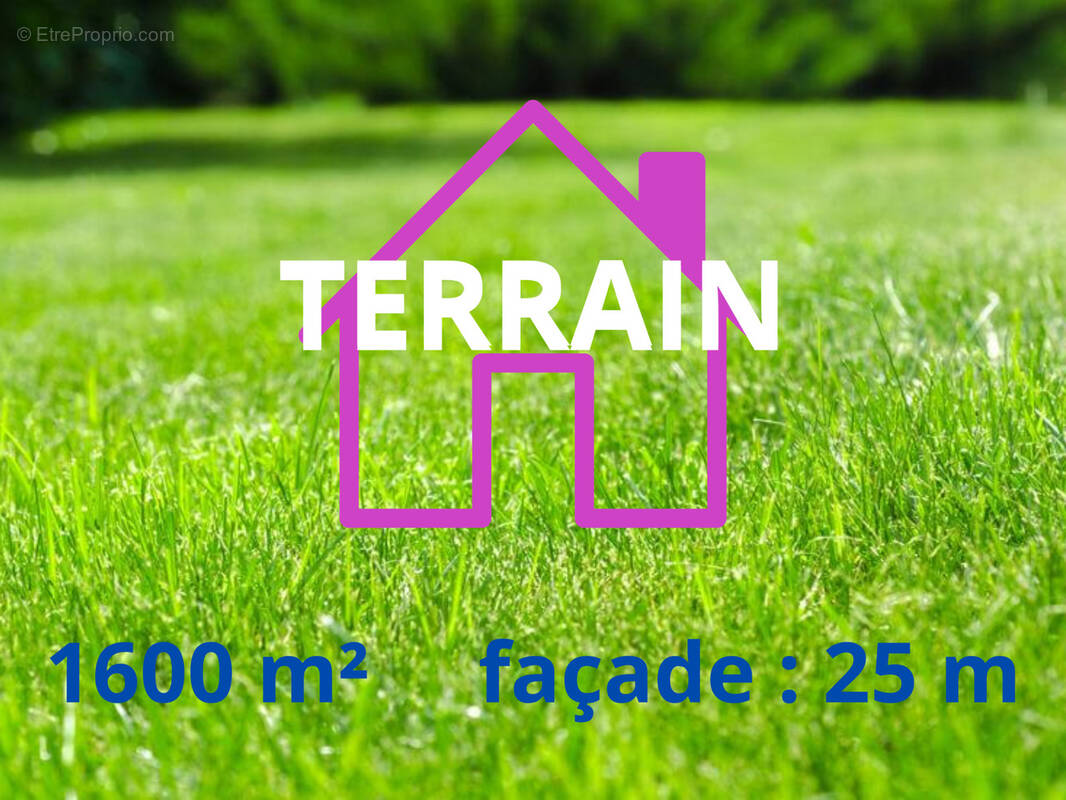 Terrain à AVESNES-LE-COMTE