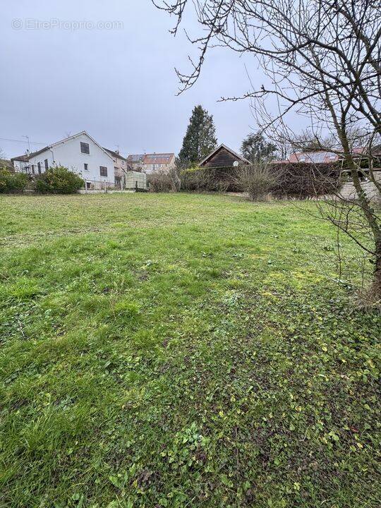 Terrain à MEREVILLE