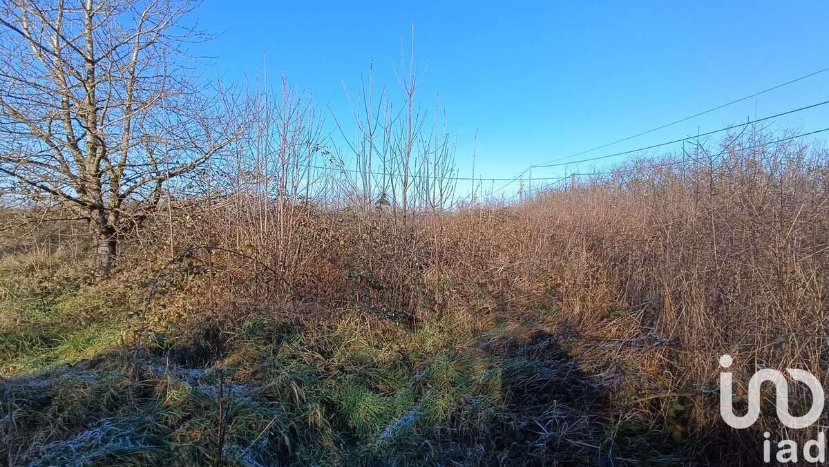 Photo 6 - Maison à PRUNIERS