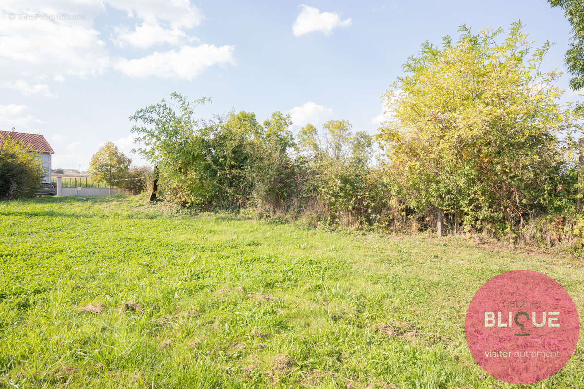 Terrain à JEANDELAINCOURT