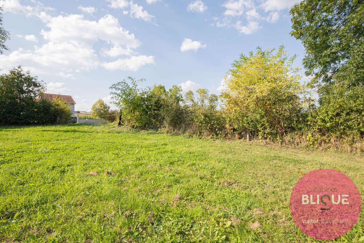 Terrain à JEANDELAINCOURT