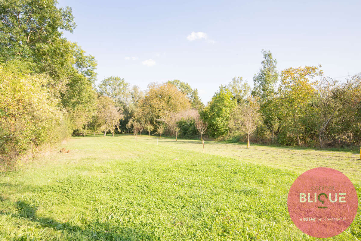 Terrain à JEANDELAINCOURT