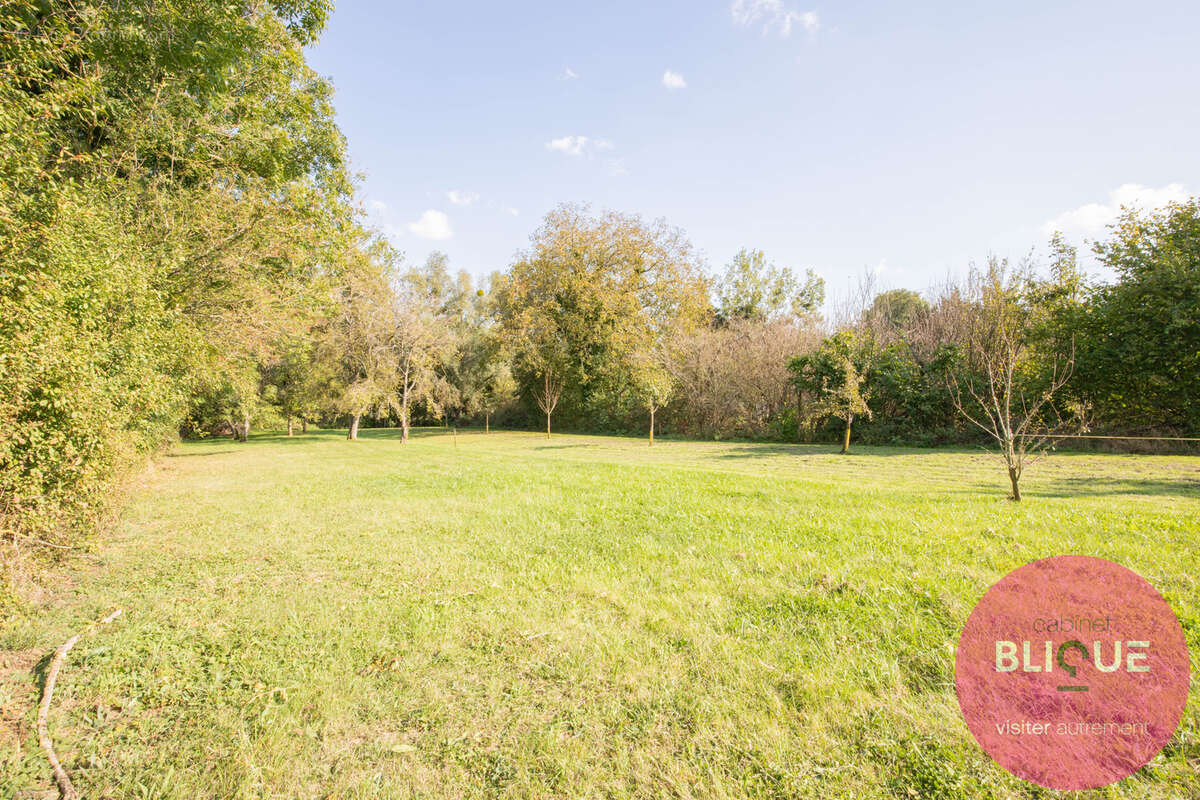 Terrain à JEANDELAINCOURT