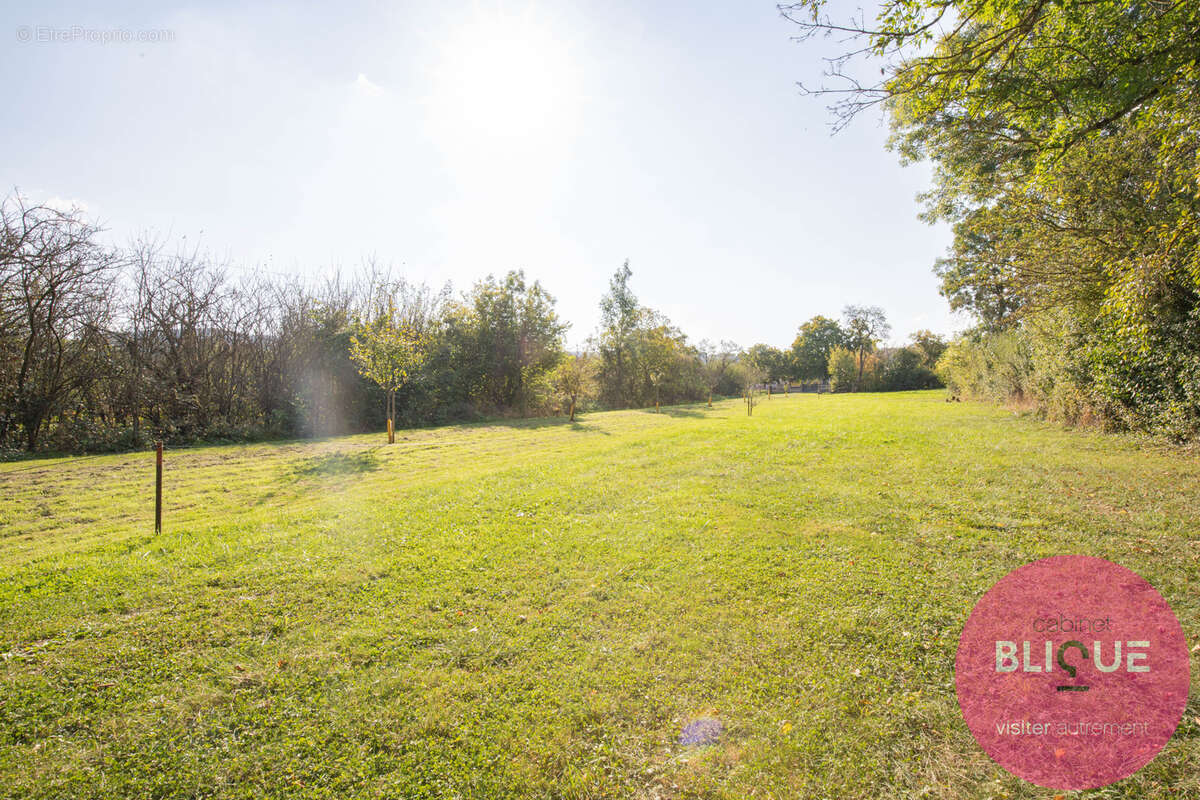 Terrain à JEANDELAINCOURT