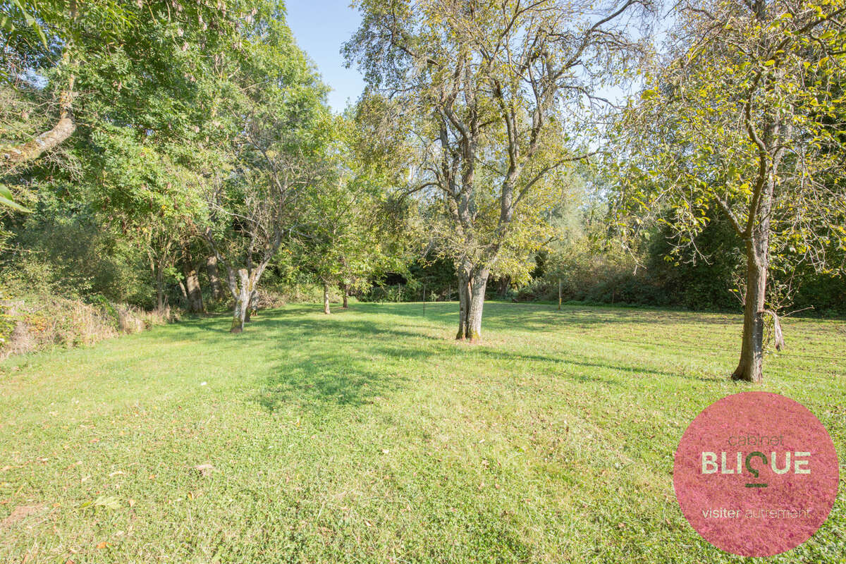 Terrain à JEANDELAINCOURT