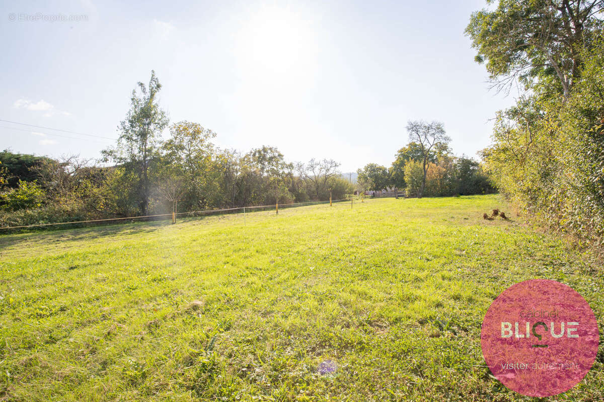 Terrain à JEANDELAINCOURT