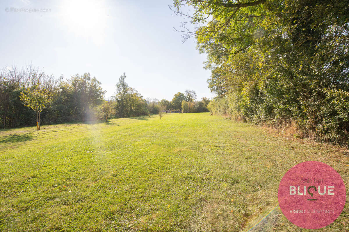 Terrain à JEANDELAINCOURT