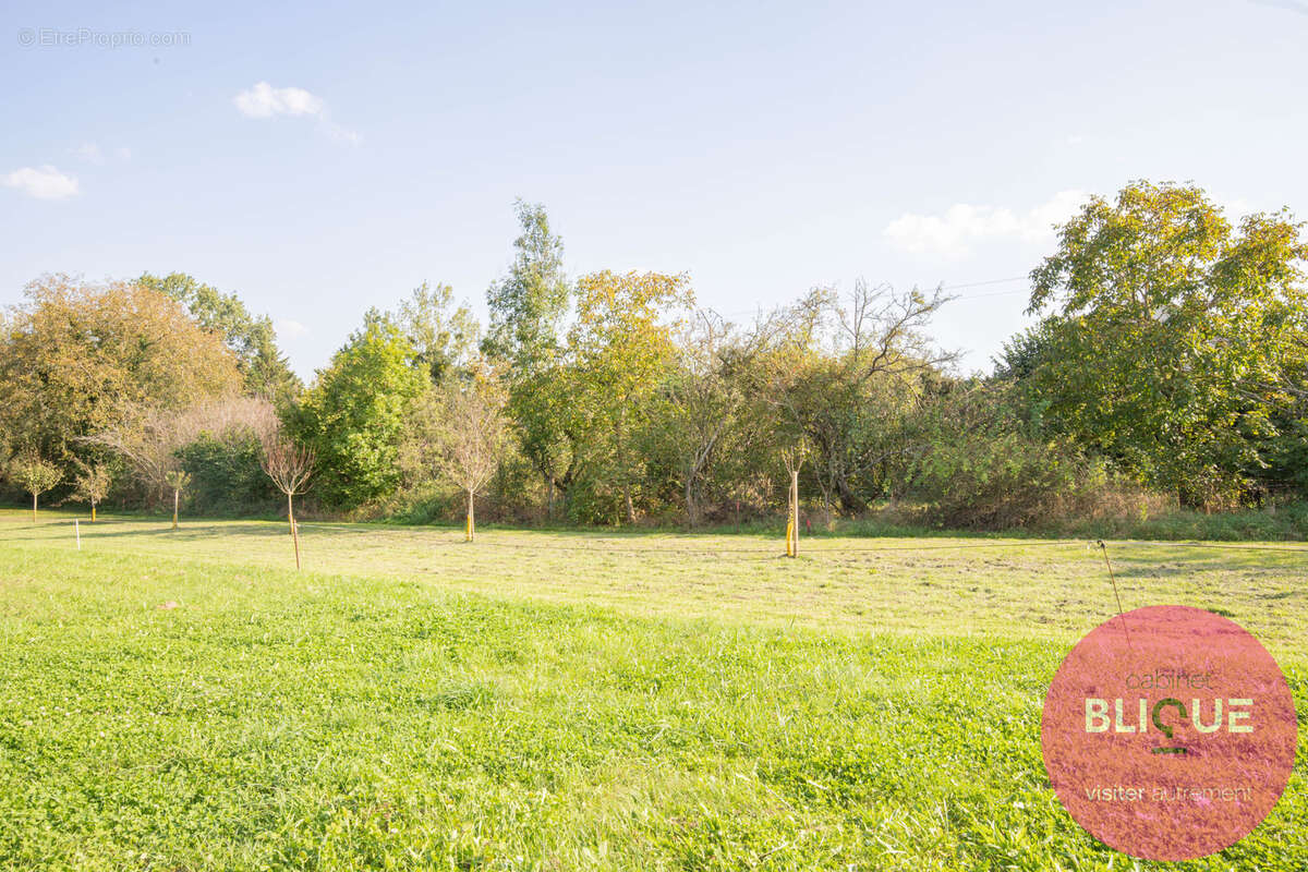 Terrain à JEANDELAINCOURT