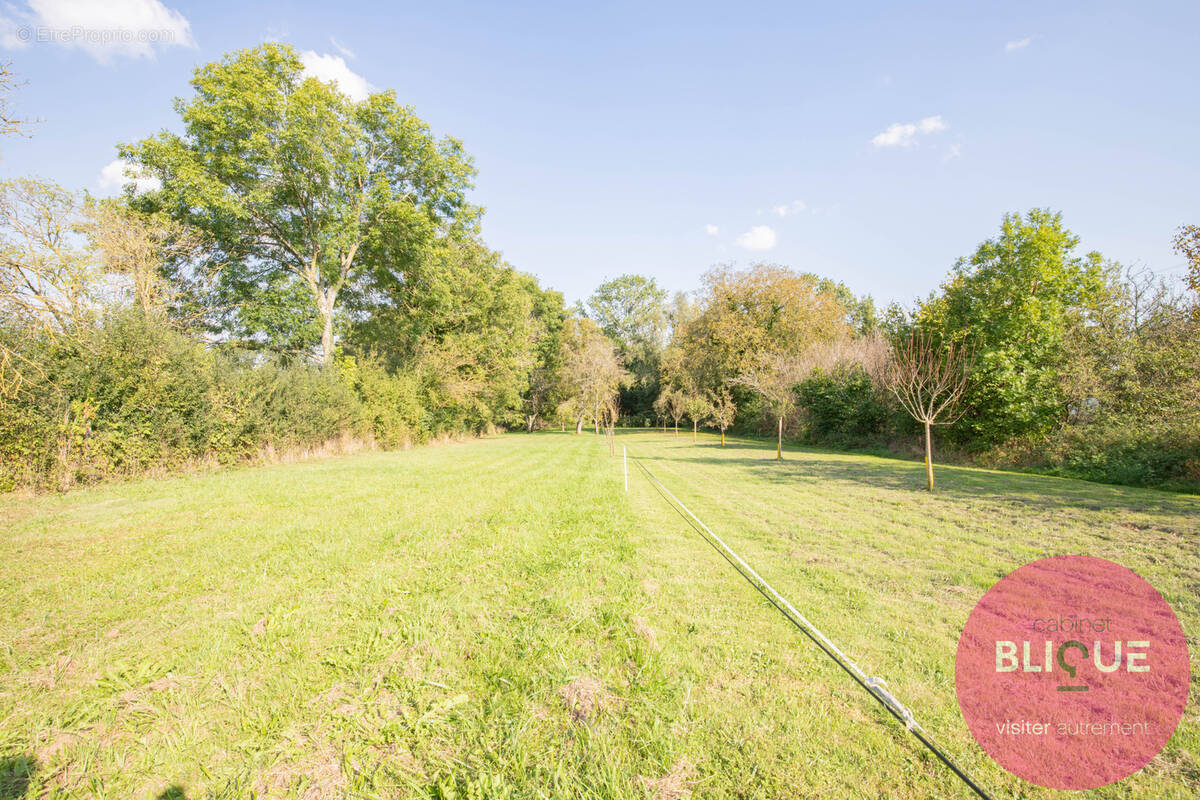 Terrain à JEANDELAINCOURT