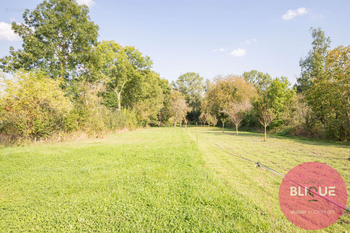 Terrain à JEANDELAINCOURT