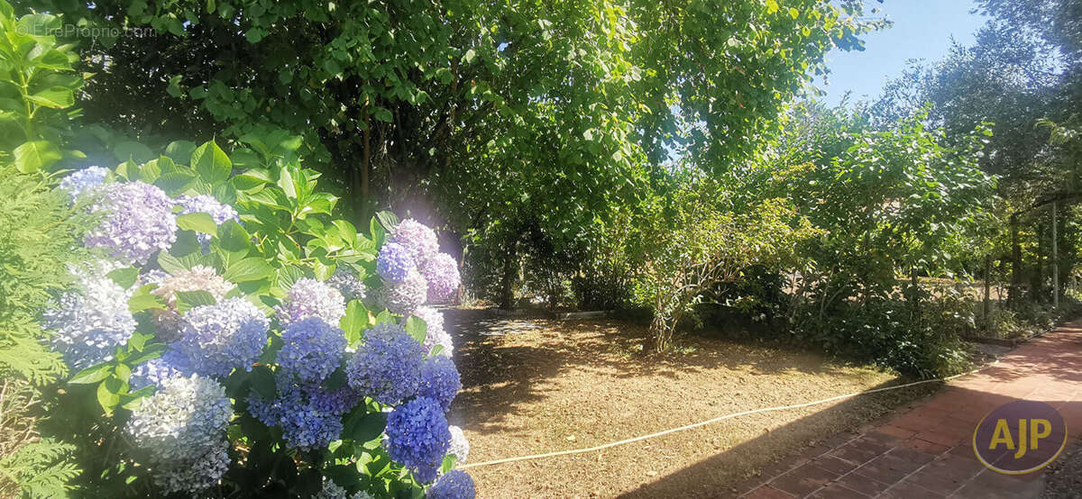 Maison à ANDERNOS-LES-BAINS