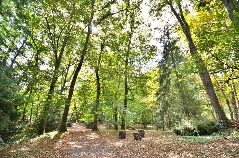 Maison à SAINT-GERMAIN-LAVAL