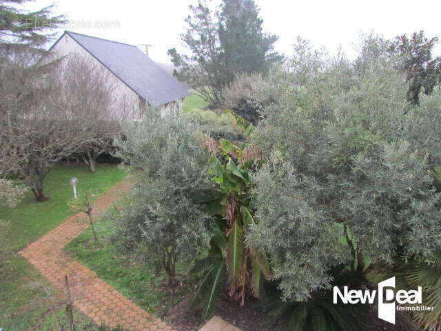 Maison à SAINT-LYPHARD