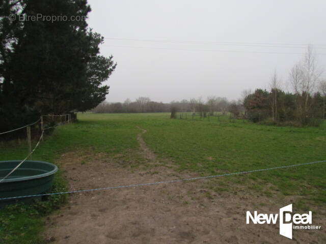 Maison à SAINT-LYPHARD