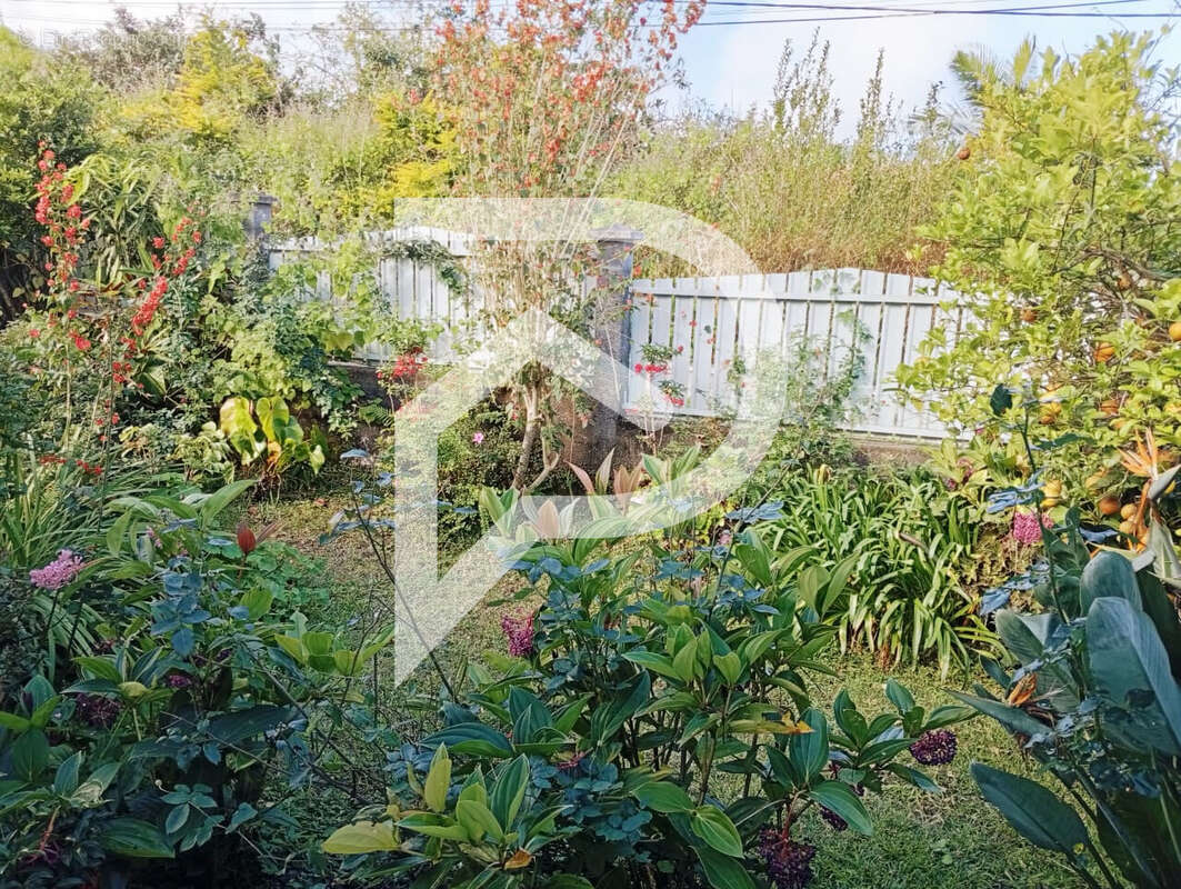 Maison à SAINT-LOUIS