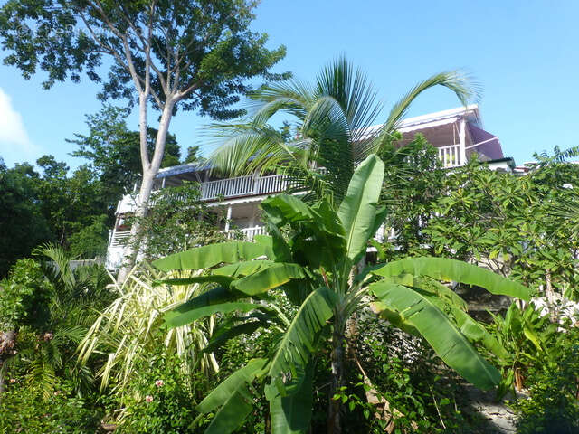 Maison à CAPESTERRE-DE-MARIE-GALANTE