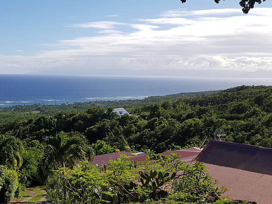 Maison à CAPESTERRE-DE-MARIE-GALANTE