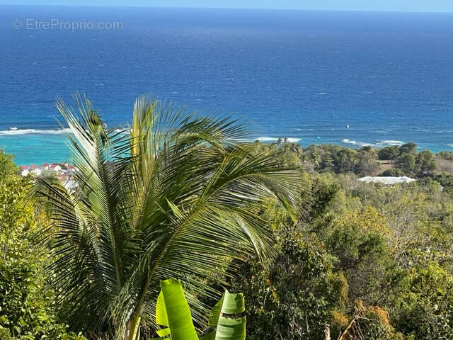 Maison à CAPESTERRE-DE-MARIE-GALANTE