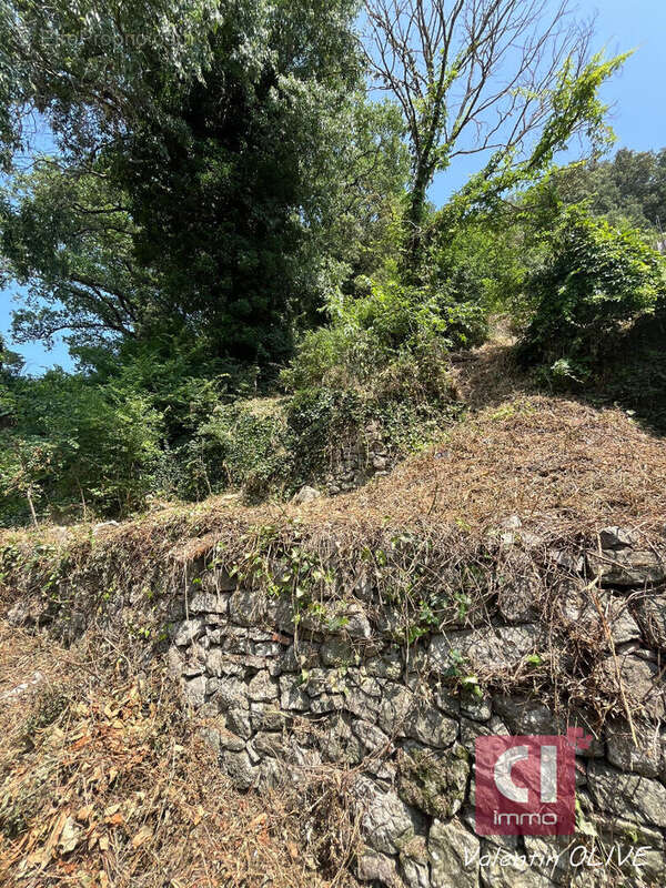 Terrain à MEOUNES-LES-MONTRIEUX