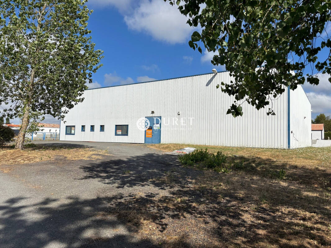 Commerce à BEAUVOIR-SUR-MER