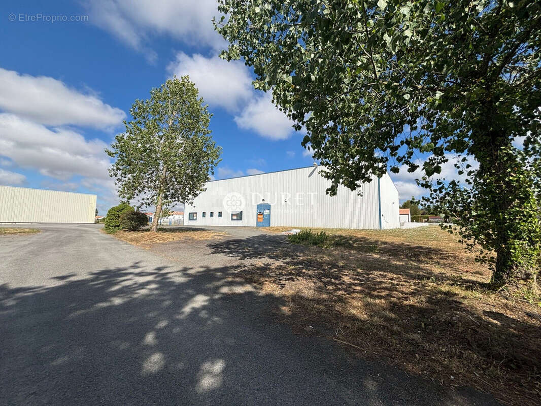 Commerce à CHALLANS