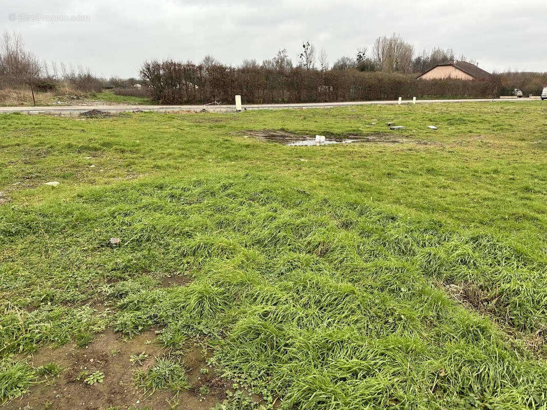 Terrain à CHENEVIERES