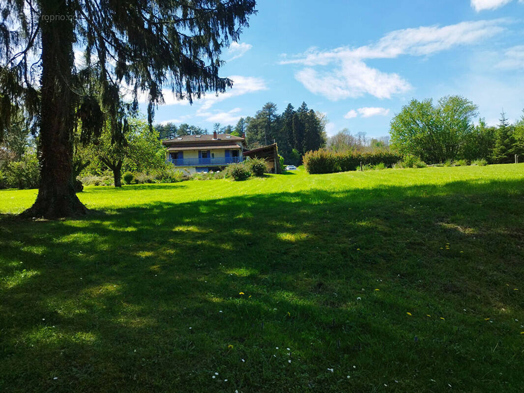 Maison à VILLIEU-LOYES-MOLLON